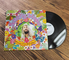 Load image into Gallery viewer, Butterfly Window - Terrence & the High Flyers (Vinyl LP 33rpm)